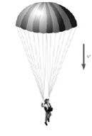 1842_Parachutist lands with negligible downward velocity.jpg